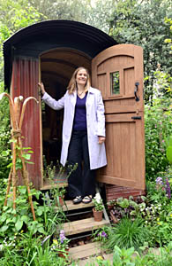 Tracy Chevalier