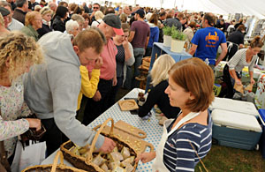 Sturminster Newton Cheese Festival