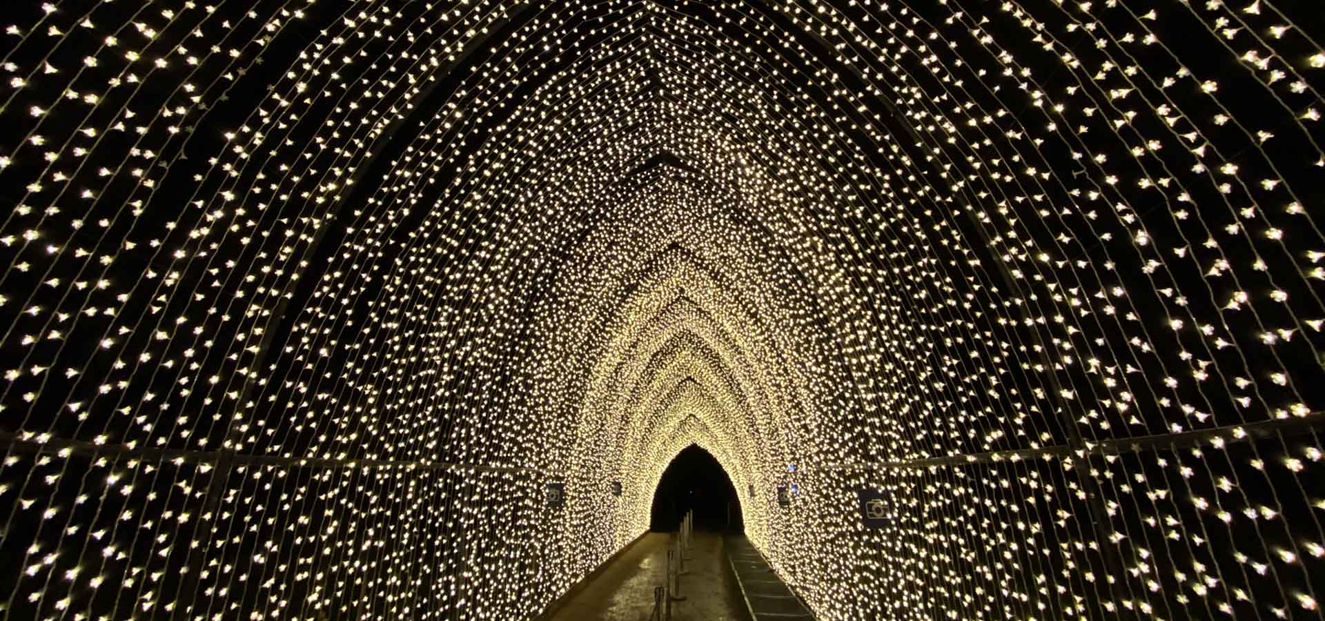 Get ready to sparkle with over a million Christmas lights at Kingston