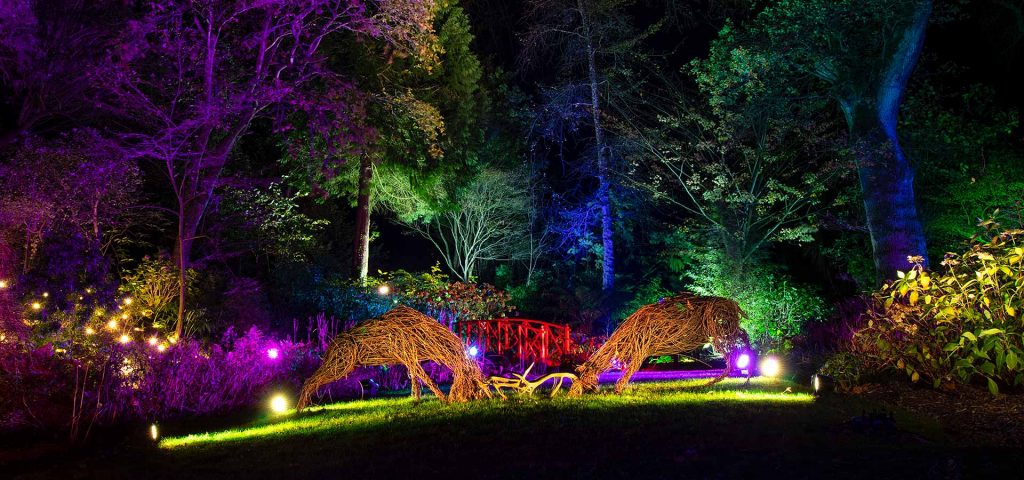 Abbotsbury Subtropical Gardens’ ILLUMINATE