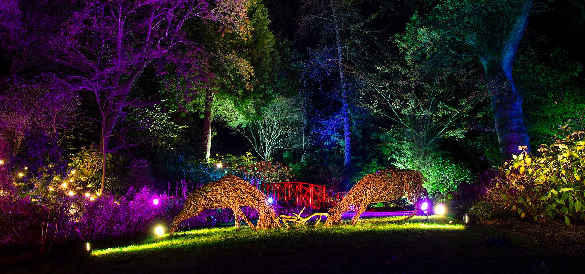 Christmas and Winter Illuminations in Dorset 2024/25