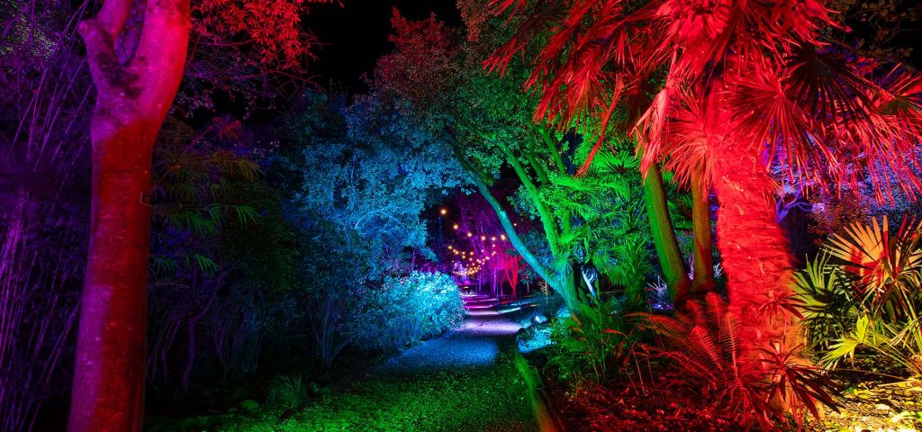 Abbotsbury Subtropical Gardens’ ILLUMINATE