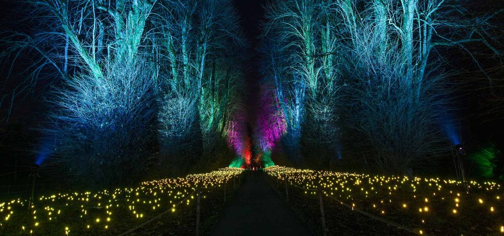 Kingston Lacy Christmas Trail 2022